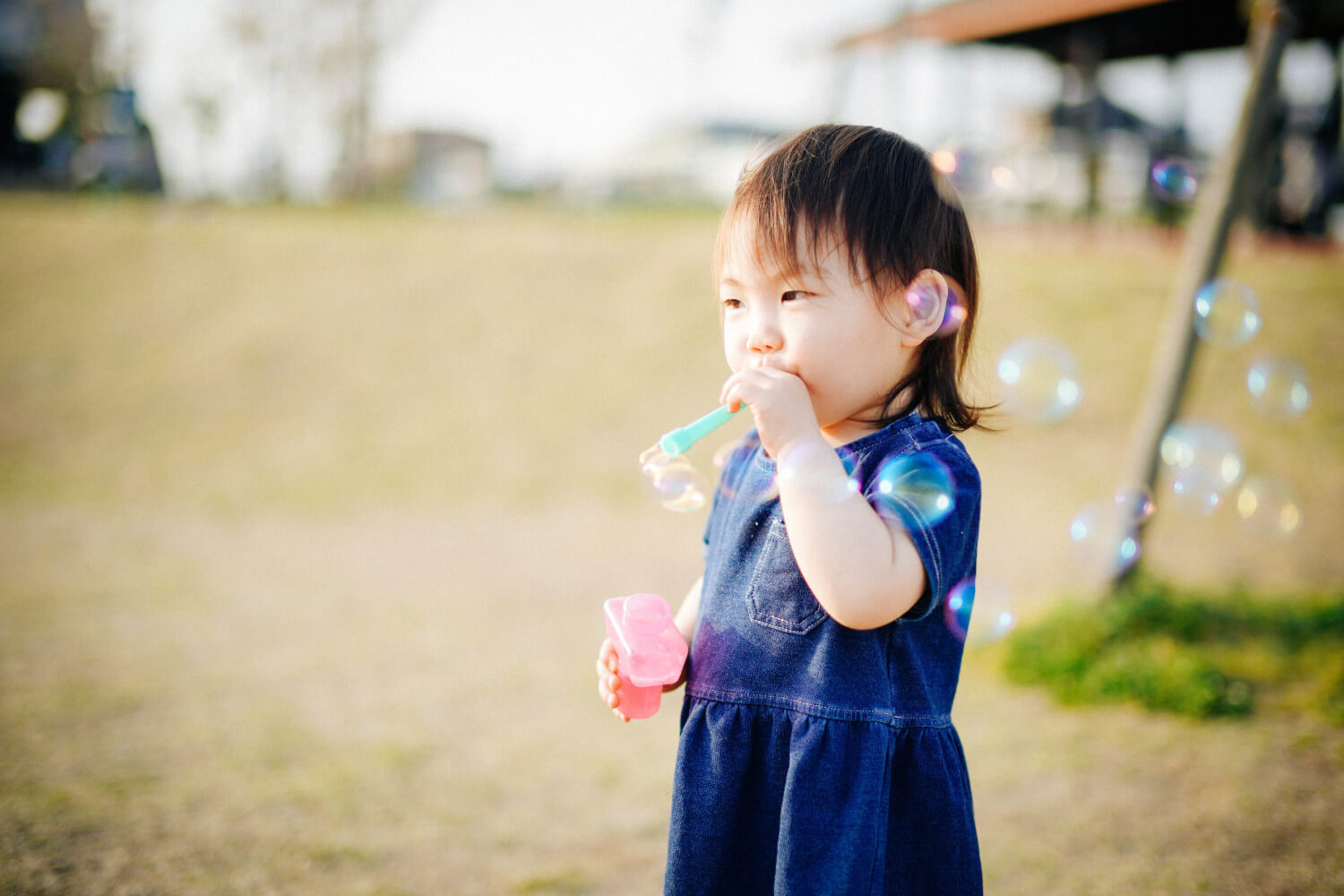 初心者が赤ちゃん 子供を撮影するのに必要な一眼レフやミラーレス デジイチの全知識 おすすめカメラとf値 シャッタースピード Ss Iso感度 露出について ゆきおみの子育てカメラブログ